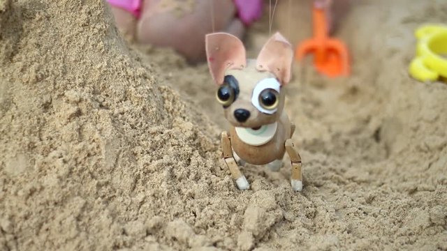Chihuahua manipulate by puppeteer
