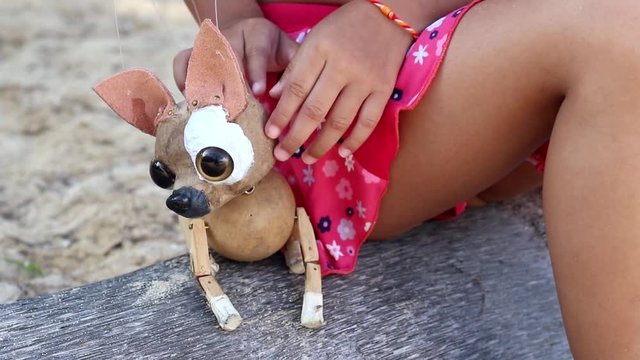 Chihuahua manipulate by puppeteer
