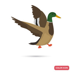 Wild duck color flat icon for web and mobile design