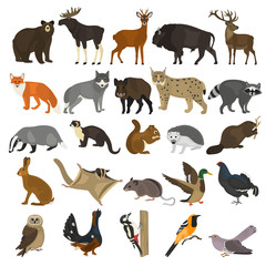 Forest animals color flat icons set