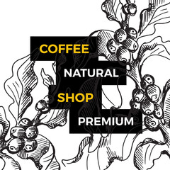 Vector coffee tree branch. Botanical hand drawn