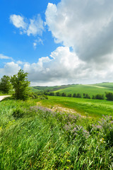 Landscape, green fields on a spring day, blue sky with clouds