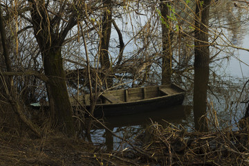 лодка в разливе 