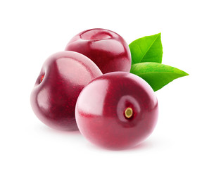 Isolated sweet cherries. Three cherry fruits (no stems) isolated on white background with clipping path