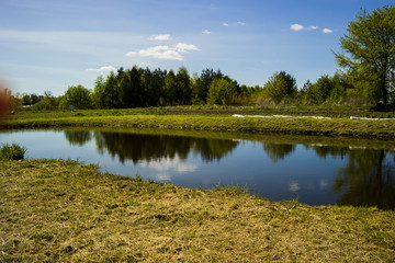 Staw nad łaką © Daniel