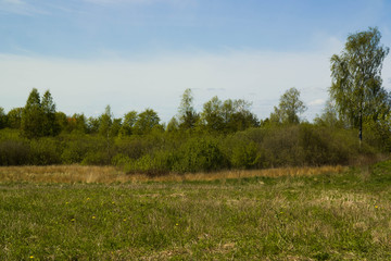 Obraz premium Wiosenny krajobraz