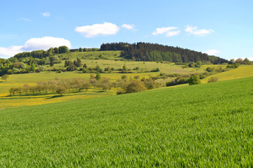 Fototapeta premium Der Windberg bei Diedorf (Rhön/Thüringen)