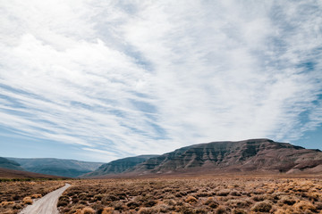 Leopard Gecko Mountain Road 