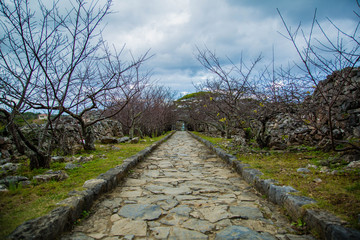 Cobblestone path in the winter