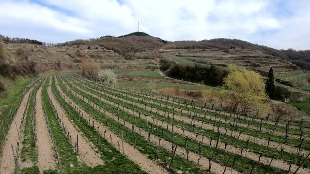 Landschaftspanorama am Weinbaugebiet Kaiserstuhl mit Terrassenanbau, 4K