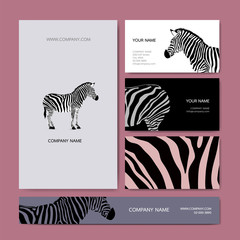 Fototapeta na wymiar Business cards zebra collection. Zebra standing illustration. Wild animal texture, Striped black and white.