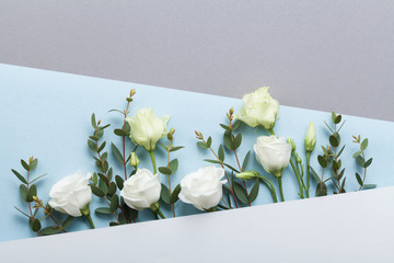 Fashion composition of paper card decorated beautiful white flowers and eucalyptus leaves on pastel background top view. Flat lay style.