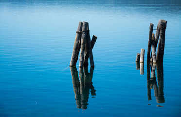 Wooden poles inmmersed in lake's water
