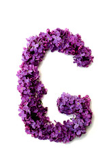 Lilac alphabet