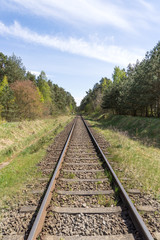 Fototapeta na wymiar Almost endless straight rail track through the forest