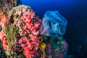 Plastic Pollution - a discarded plastic bag floats next to a colorful tropical coral reef