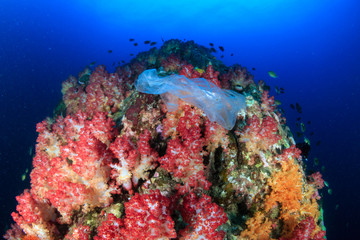 Fototapeta na wymiar Plastic Pollution - a discarded plastic bag floats next to a colorful tropical coral reef