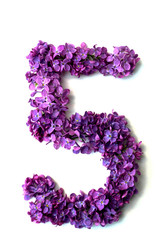 Lilac alphabet