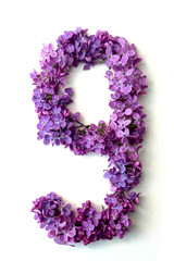 Lilac alphabet