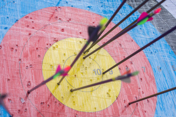 Archery target with arrows on it. Success concept