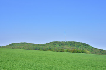 Fototapeta na wymiar Löbauer Berg im Frühjahr