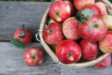 Fototapeta na wymiar Basket with heap of apple harvest in fall garden