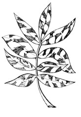 Decorative openwork branch with leaves in graphic style