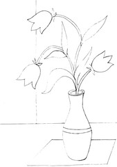 Contour drawing of bell flowers in a vase