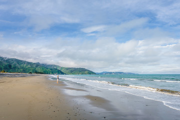 Rarangi Beach, Blenheim, Marlborough, New Zealand: lovely little dog playing at sandy beach running towards dogs owner best friend at cloudy sky day with the mountain range of world famous wine region