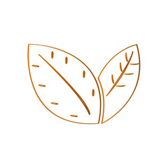 Isolated leaves outline