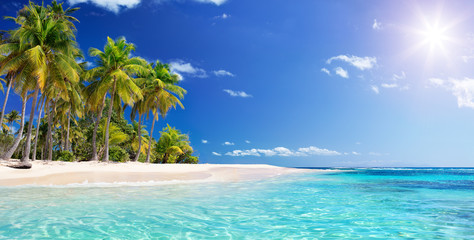 Palm Beach In Tropical Paradise - Guadalupe Island -  Caribbean
 - obrazy, fototapety, plakaty