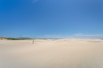 Farewell Spit, Golden Bay, New Zealand: Impressive sand dune landscape at the north west cape of south island with white sandy beaches and green grass and blue ocean sea near Abel Tasman National Park
