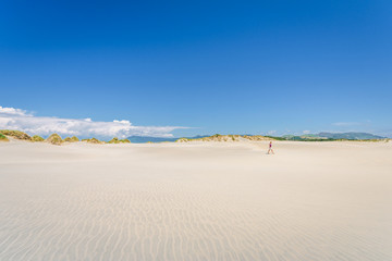 Fototapeta na wymiar Farewell Spit, Golden Bay, New Zealand: Impressive sand dune landscape at the north west cape of south island with white sandy beaches and green grass and blue ocean sea near Abel Tasman National Park