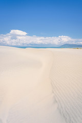 Farewell Spit, Golden Bay, New Zealand: Impressive sand dune landscape at the north west cape of south island with white sandy beaches and green grass and blue ocean sea near Abel Tasman National Park