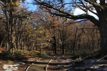 Otoño