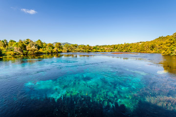 Te Waikoropupu Springs, Pupu Springs, Golden Bay, New Zealand: crystal clear water flows from...