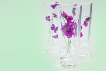 Glasses with Viola flowers .Background for herbal medicine  and advertising natural products for skin care and body care,herbal farmacy