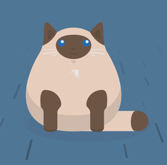 Cute sitting cat. White cat with stains. Flat vector illustration