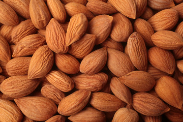 Apricot seeds, for backgrounds or textures