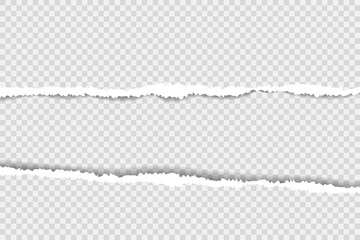 torn paper edges, Background seamless horizontally texture, vector isolated in space for advertising, banner of web page, border and header, print concept of illustration