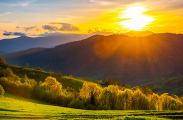great sunset in Carpathian mountains. beautiful springtime landscape. forest on grassy hills back...