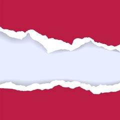 Torn paper background with space for text. Design illustration template vector for banner of web page, news feed, header label sheet. Card decoration element. Grunge texture of blank