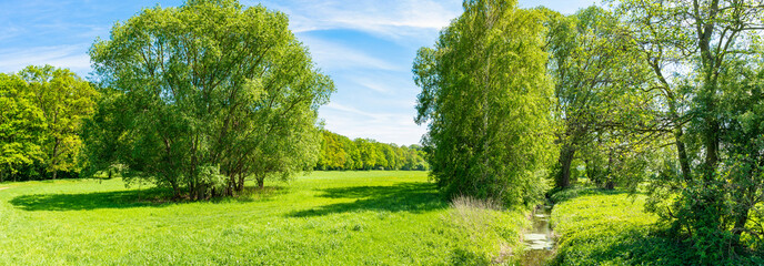 Waldlichtung in Deutschland - Panorama- Frühjahr
