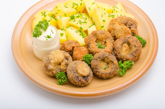 Houby Bilder Durchsuchen 102 Archivfotos, und Videos