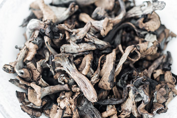 Detail Craterellus cornucopioides