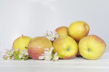 apple flowers and ripe apples on a white wooden background.