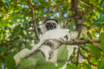 Bantu, Isalo, Madagascar, Sandstone, adventure, africa, african, agriculture, bara, canyon, discover, ethnic, gasy, gondwana, gorge, grassland, gun, hike, hiking, horizon, hut, ihorombe, ihosy, landma