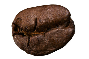 Coffee bean macro isolated on white background