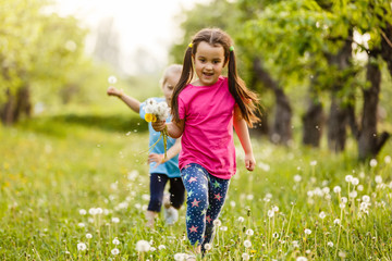 Beautiful little girl plays in the evening park, on a sunset, runs and collects dandelions
