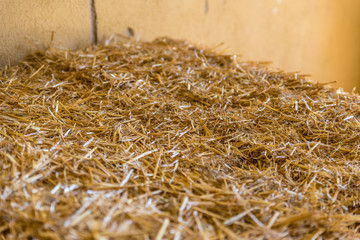 straw for horses in a stable